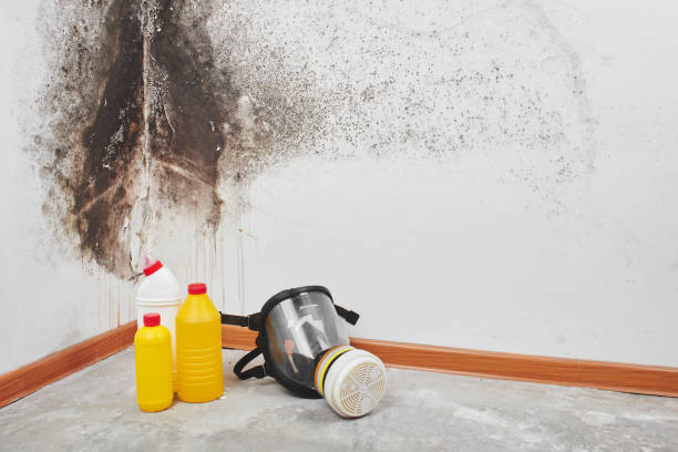 Water damage restoration insurance claims